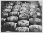 BEER BARRELS